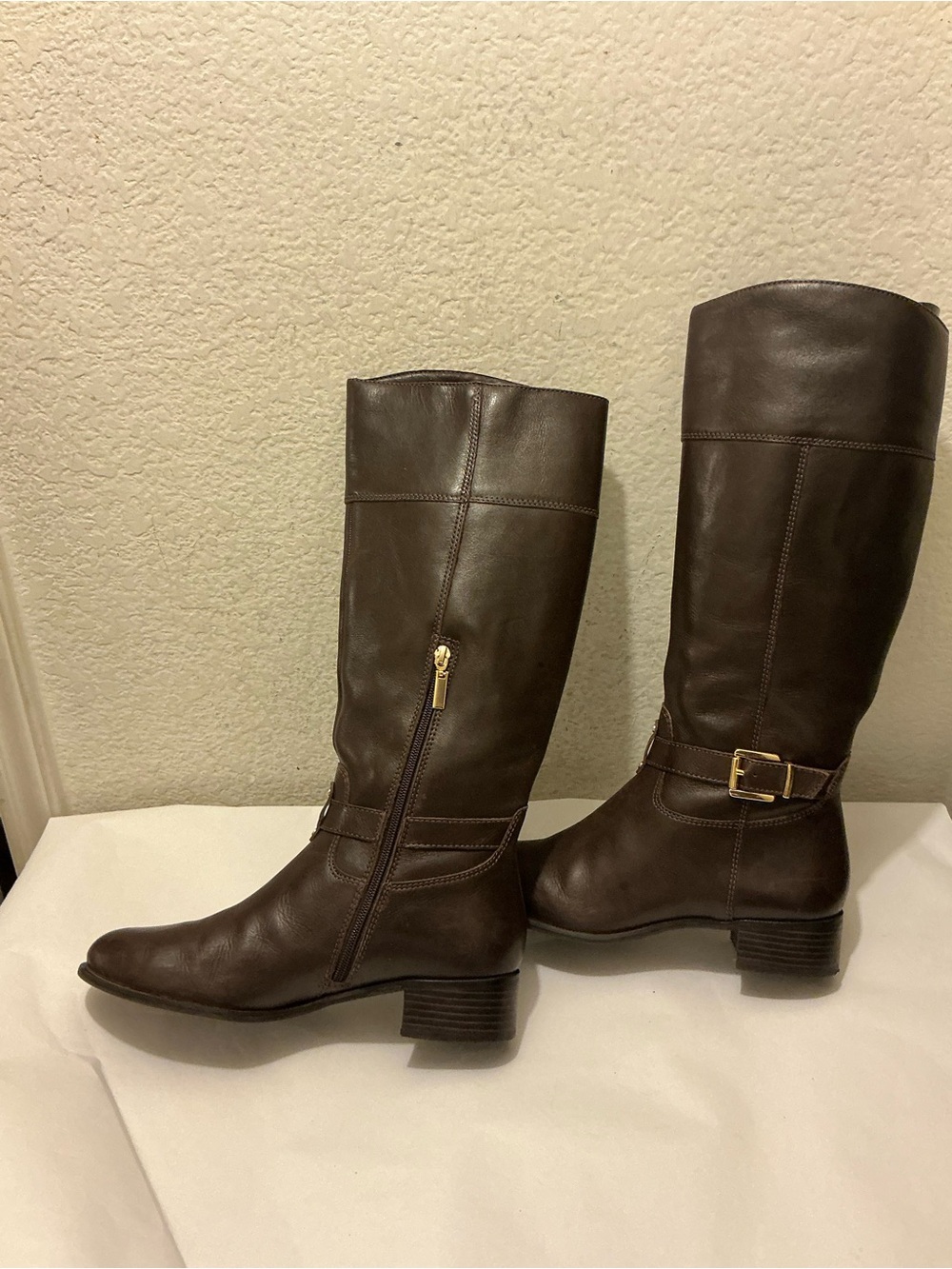 Banana Republic Sloanne Dark Brown Leather Knee Boots with Gold Buckle